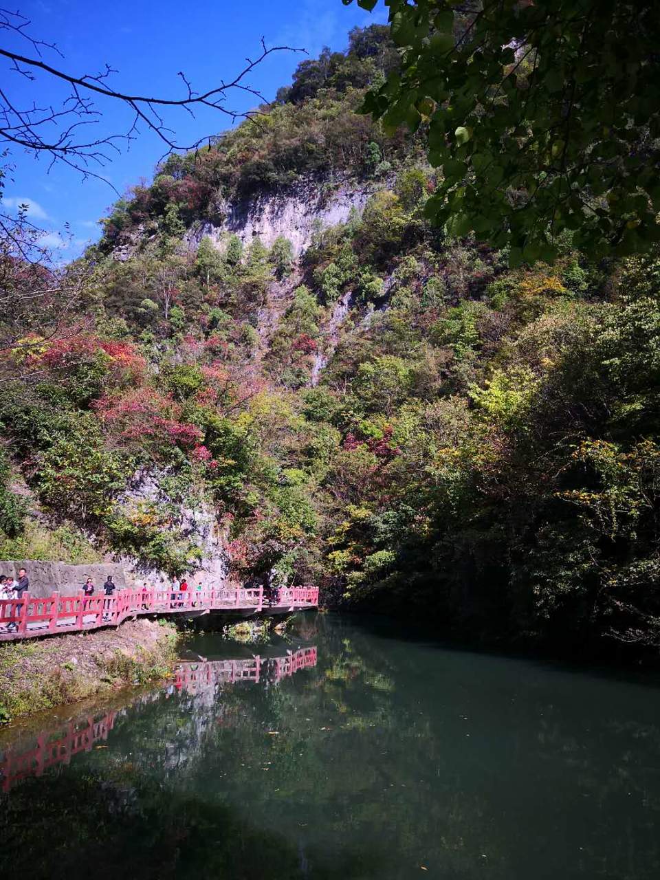 mqrVdhEwA64S_a6ruUhMjUobR5B3UBzGtVoBZLFE8V4jYpAZZMLoJv2QGTPMIZD6