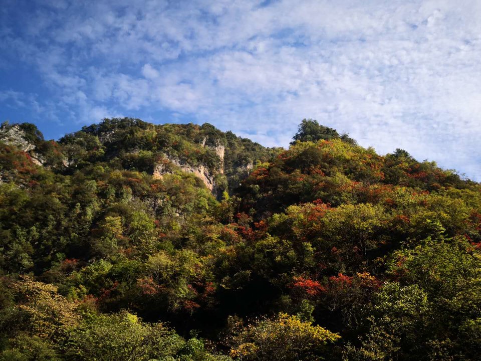 LS32M7LPibqtT-clpOQ09a2vg3o4F2g90_0OYz4Fe08IG9Im6MtWuwMk7zlCAyJC