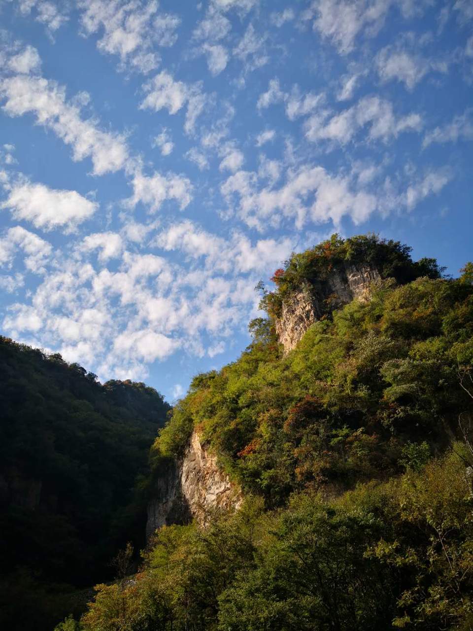 TwkxOjjXc1pb7pqzNAl3s9uqDHMk4C6G55O7DvnNy4rQ0ZRaNR8DzRGHdvkLRiW0