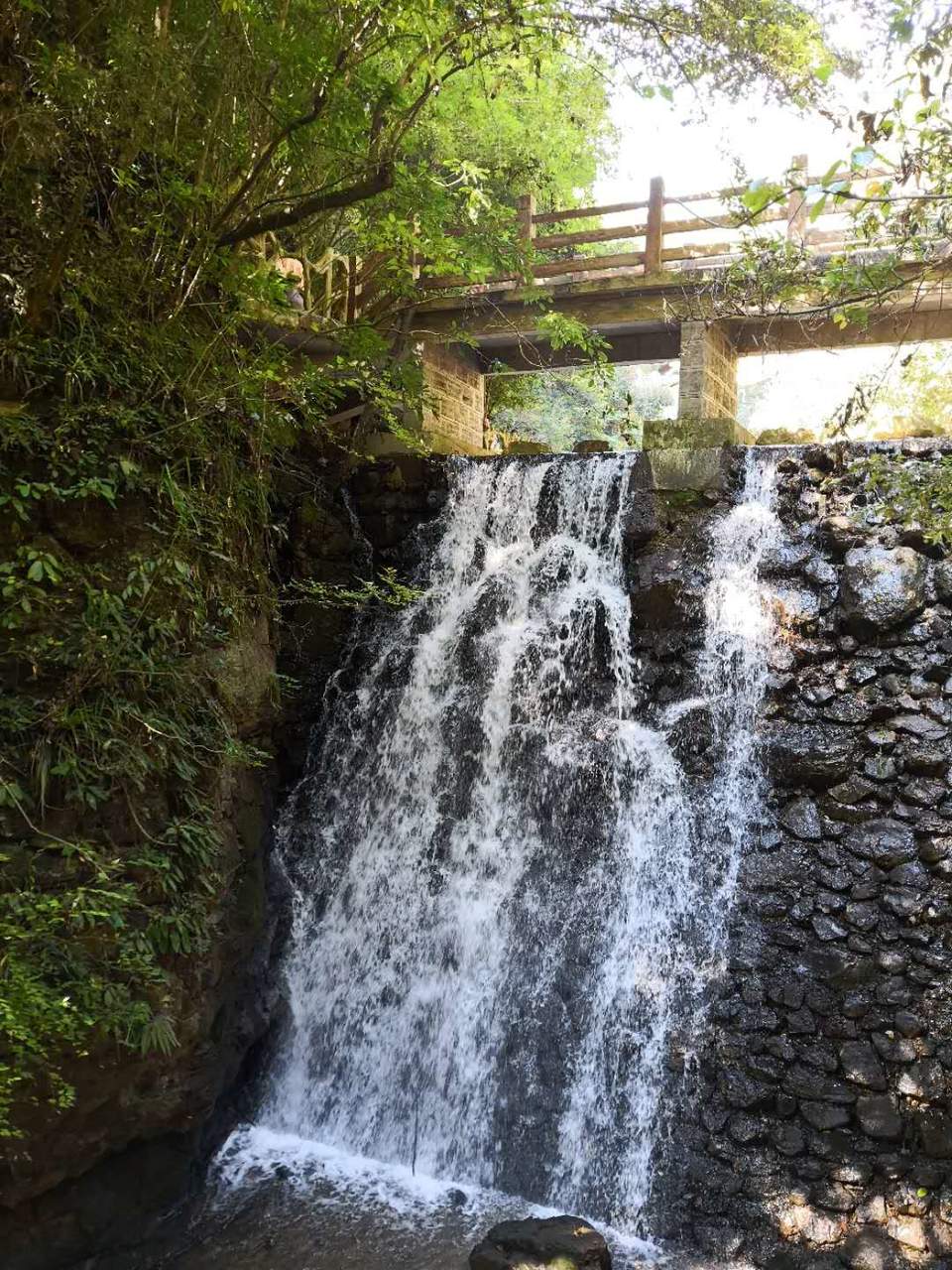 nsggG9jl6d5vNqh7dwG131O22s-33NxfTFYocINk-Lh2r7ulpEE-M1AkUd9I4cul