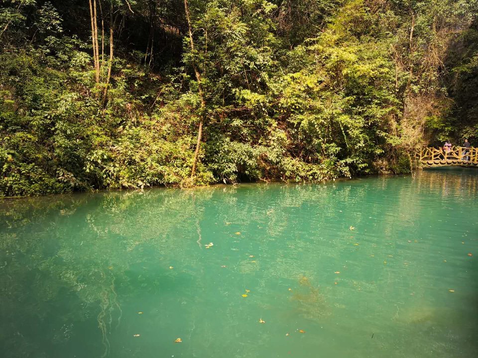 NTUNati_U2Vx0T9_DwkGlfc_dcmF3x_m47ohAAkUl1zXBOtwJKXwZLZ16LfqmW5-