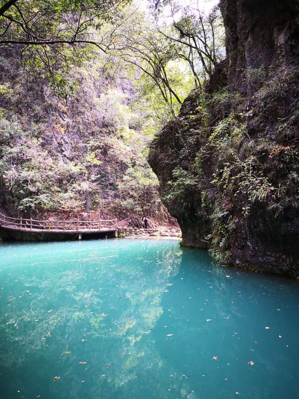 bXi55TRG2DNqQpQnhyjx1QAfpm23tjfz6XTMmEQoY_TegpsbGANZtBwupfgvgWxg