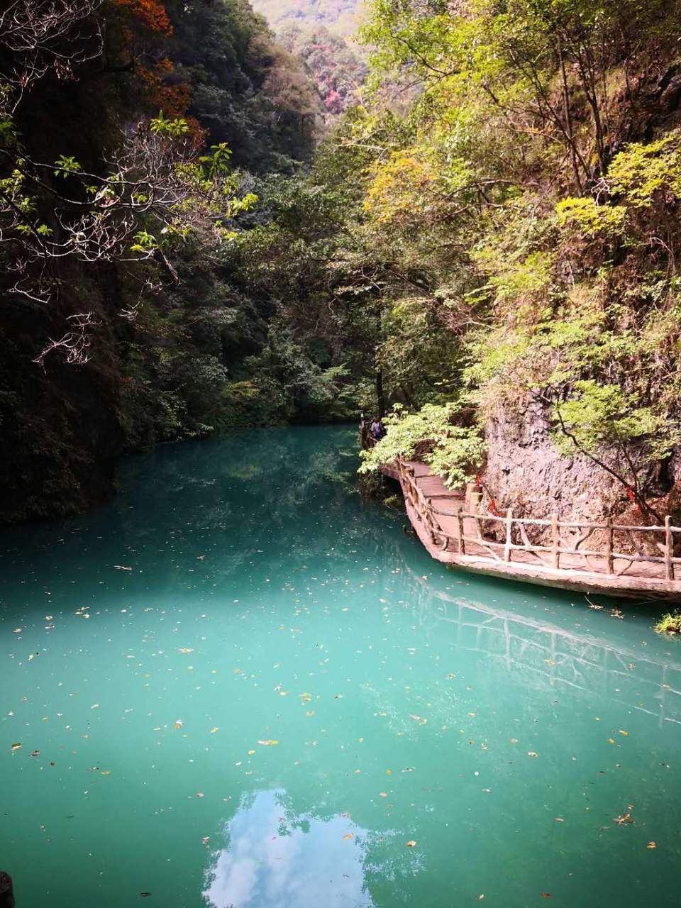 utLgXa-MAdH6EFGBWXjibbTyJPQpuz0onlVS0WvLopnCvw6Thr-8iC5JfGv2cZF0