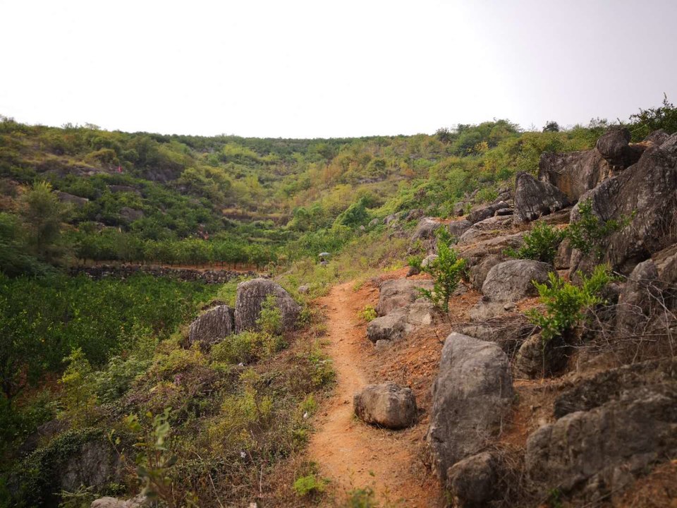 RIYhgENGtU9GNAo8xWQeySnVU-l08L2yPuAXQii10t1z_R1oV-31yqX5n6rBqJ_H