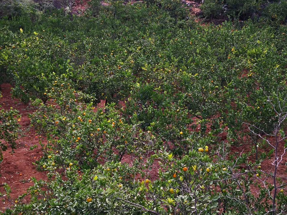 aZ8LP9nI_7en1JDRVVnKufbZnPbL8AEqPWo-U2TFLq7-R9JxE5wmzlJpFRROhW3Q