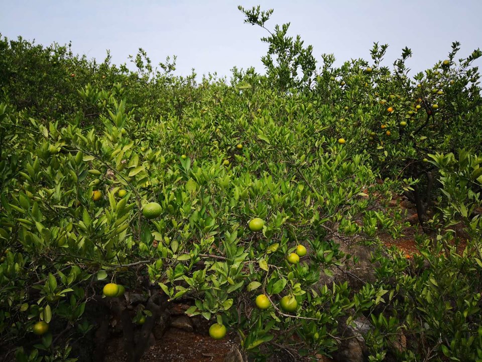 4u_tMnzgwmqvDMfNBpaeK_7Iu6RmOwsyLzXFZ7mwrfvXbssY_ziWutI4jMRXgObt