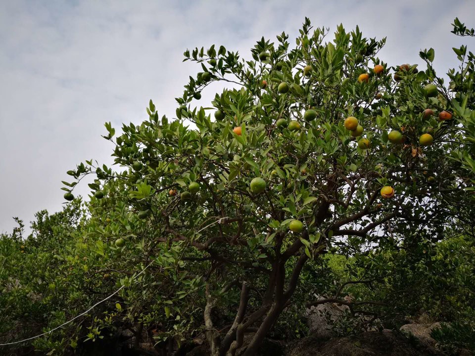 nMFUzPUpwq4pfxCqi__7wdWHM2LNGsd_Stm5SjV-SHnERLErM24rHFqD98vIiv9x