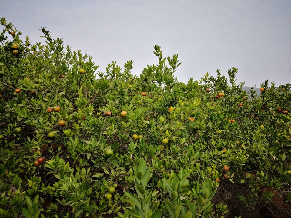 OFoT0uhPdRj5DulARXXIrNcKSceWeIvCdJjRrw0bX7kKjlr8qrymy5R5mKl_hSeb