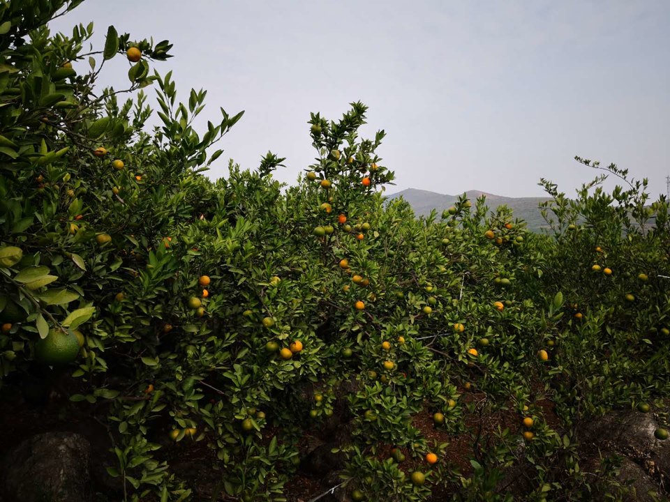 Ka_VTkpIwE09POFHTYhvVpbNEuELg5DQtEuR54wLj05t7quc3xbVvjtUANJlgH2h