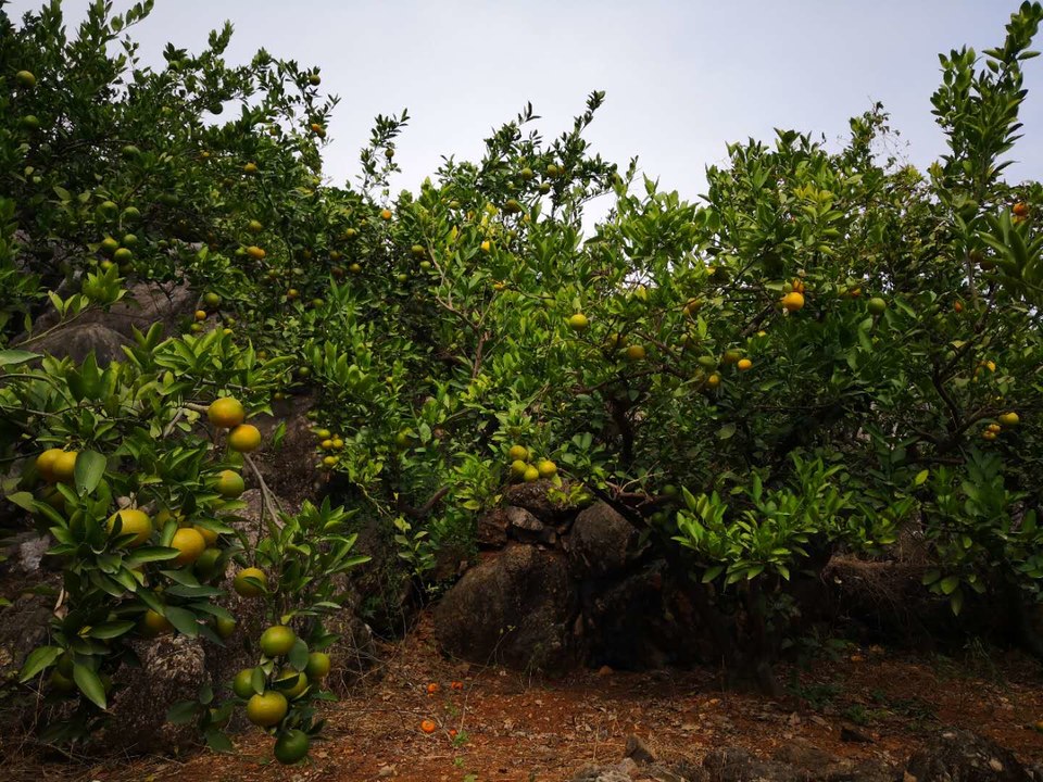 hD1cp-c98AlTNSuw28lvAiEttYykPtqmHANzFkQsRHvOzrfTAE1d-U8iHFwADbYq