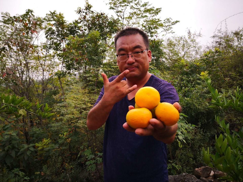 DPJwkGrhHq_qptXgDBnezp17Dab5wrxKH4Bygzi7uQEcOyWx8cLX_X4KdQP8szWL