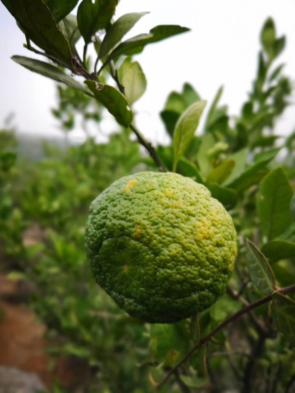 3BH8HaxktrxBo7kNfDdHEJKDxvwfvAoTd7_z6k55lMHT3XfaL31dyad0pv42kDq_