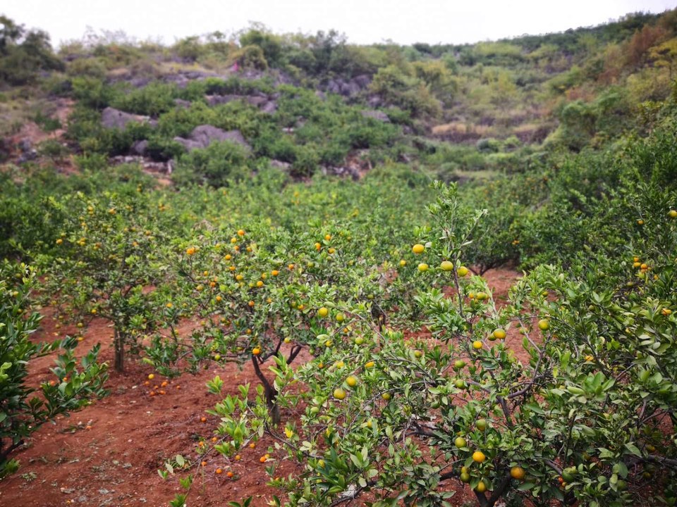 7P6ZOZYzaEyQ2oyclS_Y9kMs_SUUjMjq71iIsucYy0tEY5Xedfh6VDMQJyMyASwT