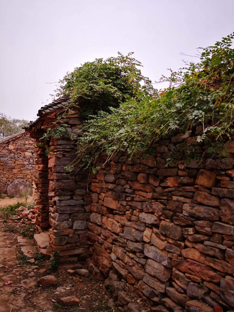 yz8a60SlfsJVF2NgyHTscUsBSY40oZ1uYEtUMsYsi6_fexCSOFsAXSAwIiqPxuxA