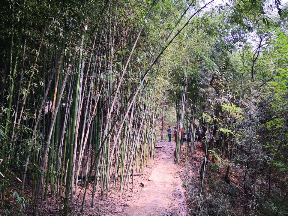 NBIua8mMH-rlTpZf-HOAzRLxZtUp6J9YitkQNutvsy0JC8DDY6qOfYi3W2Sf999G