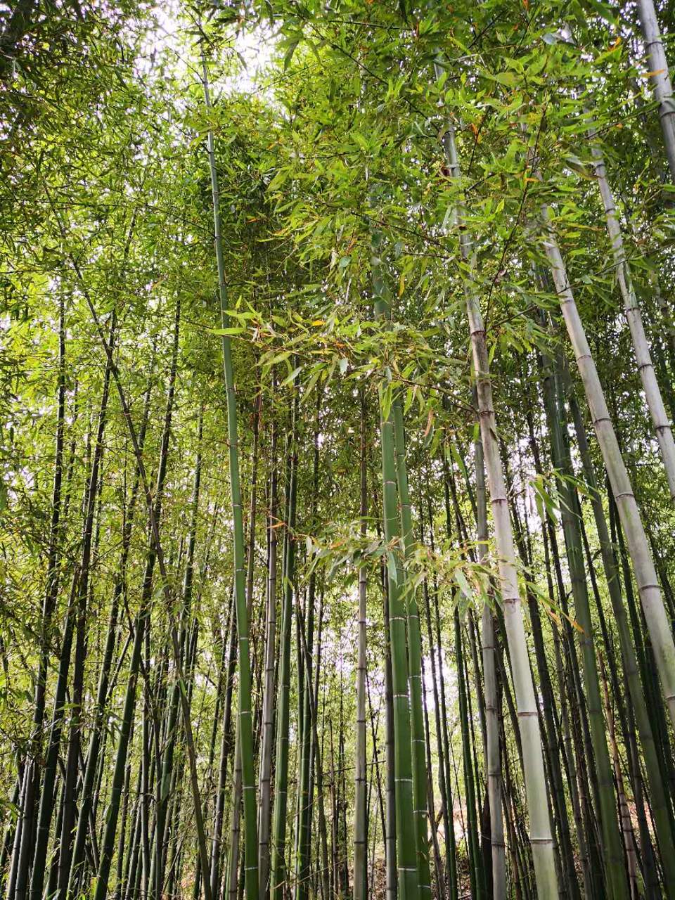 TCyiJZeeFDcnXlIE5Ojt4FiZkIJY-HRAR6ZVBfNnRlqK8nSTne5kRyn1eFV99-ma