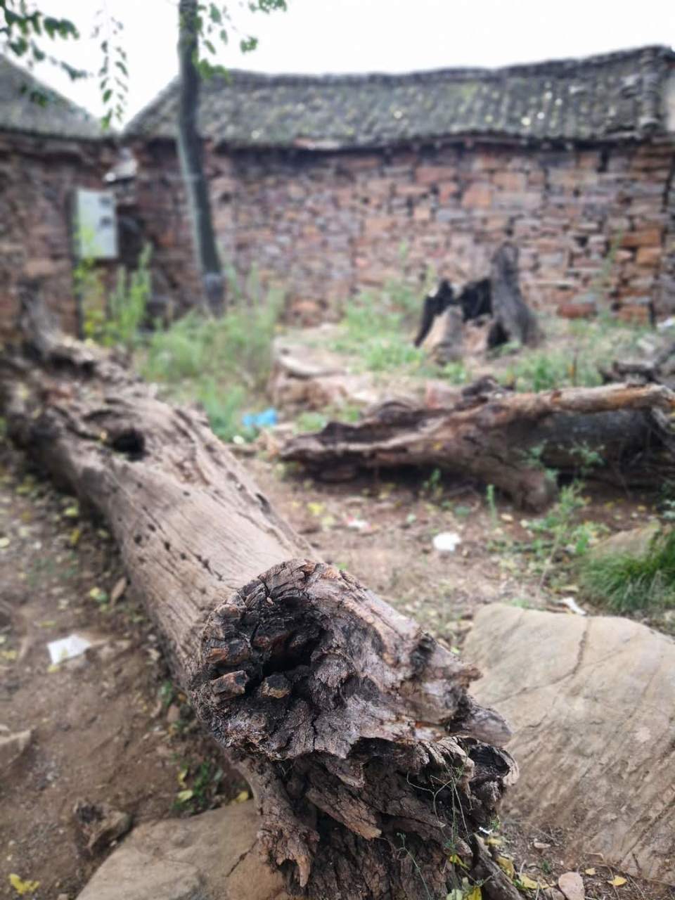 DYk0wYvZysBFqhP6Dw94tpcSz-Xs7mMW5Q7c9fzRK2D6qHemdopr3ckB2cdqu1aq