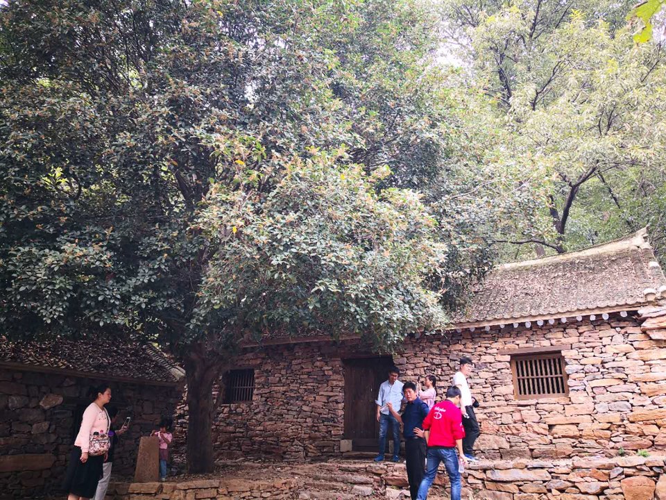 -XO4twr4LNwacEZ3kpFAU0EXDrTLViKGXFC6lgpWbuG4IAcn0awRg2dEH0imeoNF