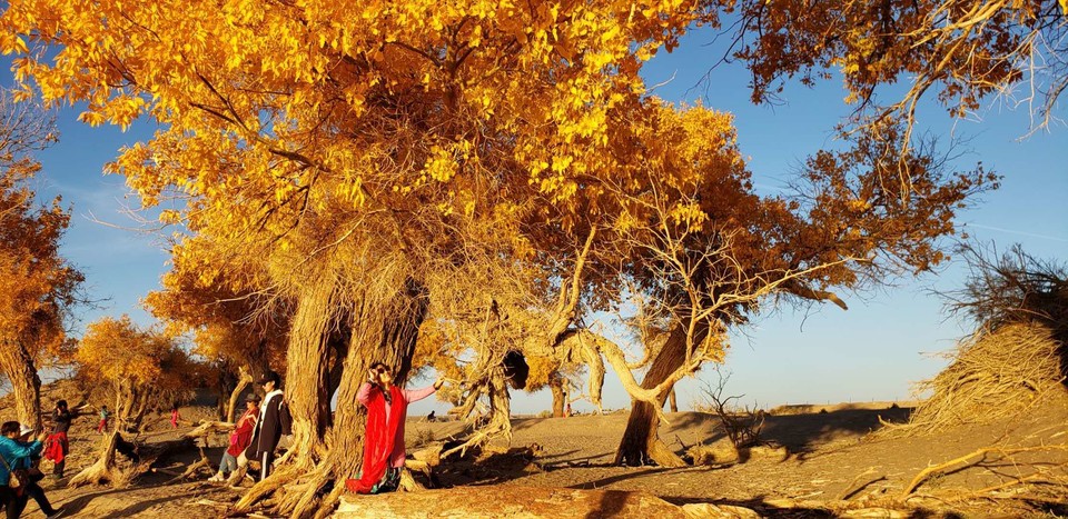 zKP225tR_4S3zVqsj7j2_SQnt0mjOUVzVemXWtuLHUZaLvbSNTexvzYW-fh052F6