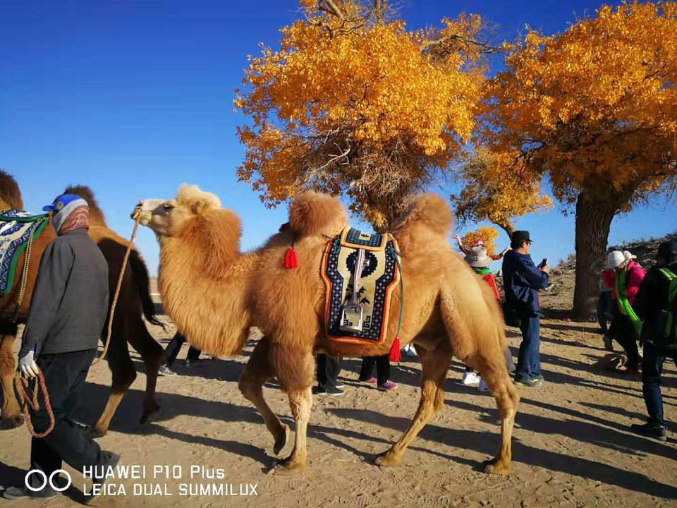 llgJBKR0NPyM-gP8LQ9g9CWWKEjMHfz6Z5lIUubHcAWjXyIH9wLR7TcC0hW5Yv37