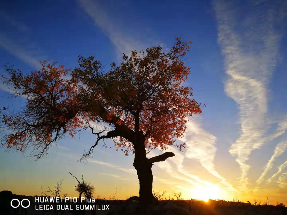 reTzj_rcnCMOQlpHyf01PhxgGY8YXrtuG_89zfyEFDHJw1r-j5xALnYu_HD__4E9