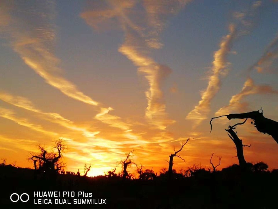 jLY65nVPGrhx5RhmHZX9h5T_asH2O63JEV0Dmb1utqKiZSemABHE_JYO4oGRjB61