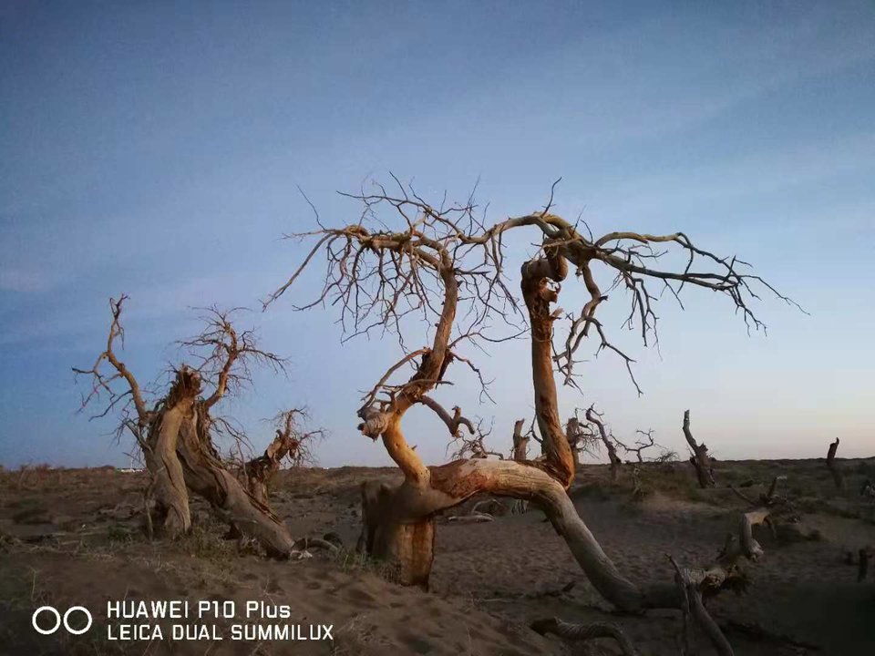 wTLQgudy7OaQLf1-mwGY0xutjoa9nN1vUhAH8cyPXg_X8tTxB6QYsG2TVV5NqG7n