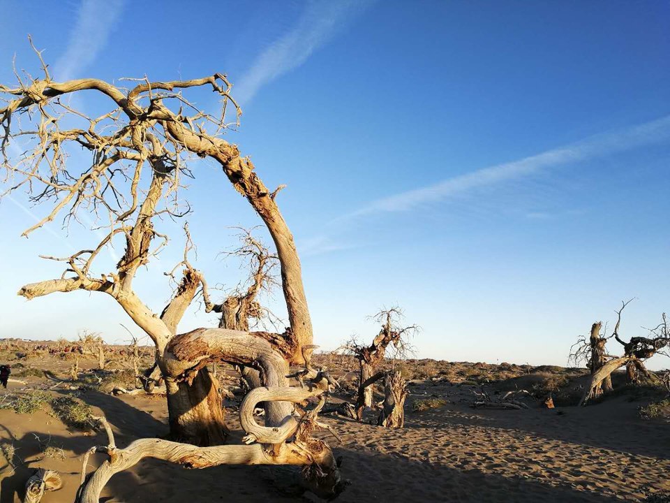 yTd38uoKBsVkxhm1oHZd36MiD-k06KmtXhQxn9Uda92zsUz-NYET7wmsZ7_K_vtV