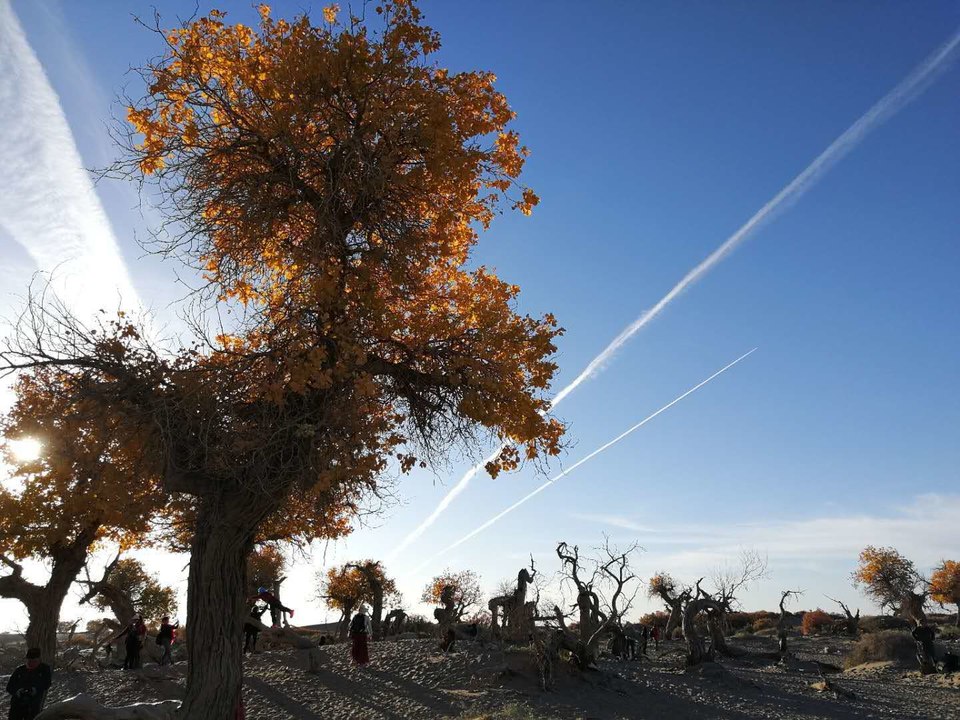 zgJfTC3QQGzmfahlCVZd6vNNgSUCBFqo2zUt6kXoKjV0rhQnFR3wgqSEbxnG1I2h