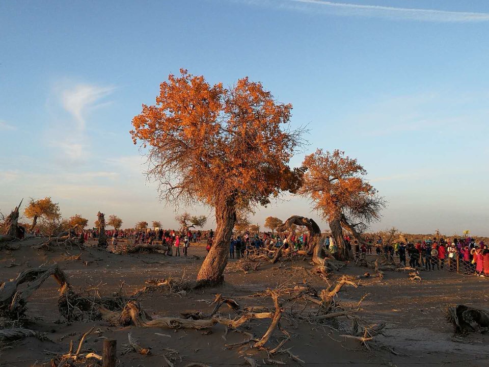 yo30pupMFdwrAwcrBr28bRgKY16nID2lW37yS2-fGSQodlt2q0drzIoWUgvMMfsX