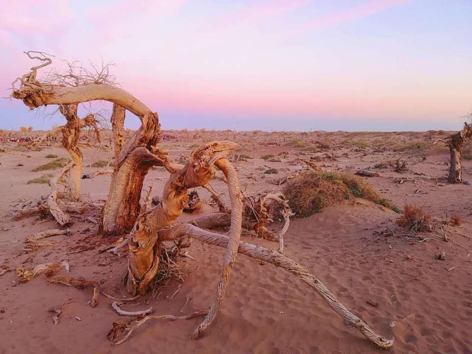 Mk1ughhLuKF1DrTYQHsHo6WxKiyqU_e94ghSDj6AEbXZSLM1uaHLhu8SKubP5EG0