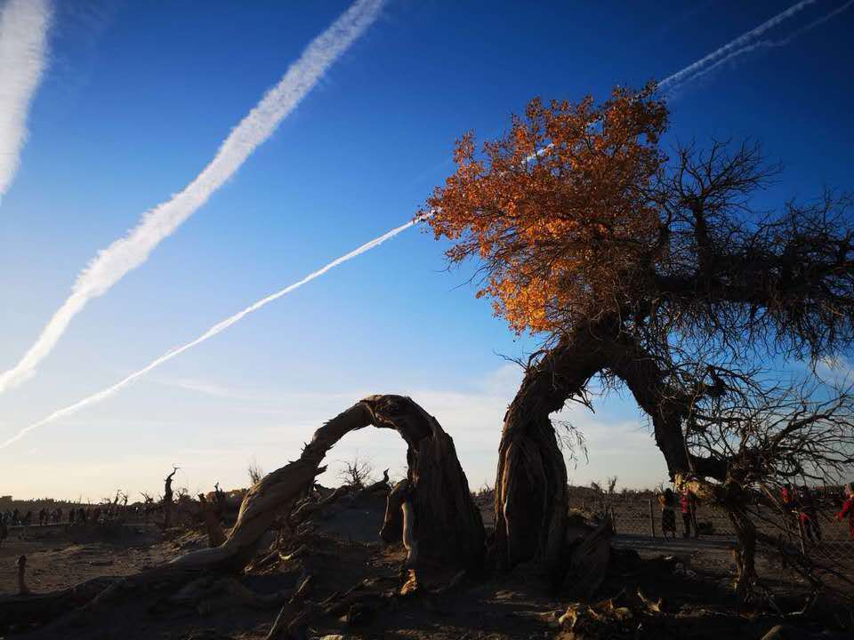 MPVHA0GGLU9oY6kSX-Q4KDxzXlpKraeSpt78mdMhAMGRlhLF7HLzdJ_uiB95upJ0