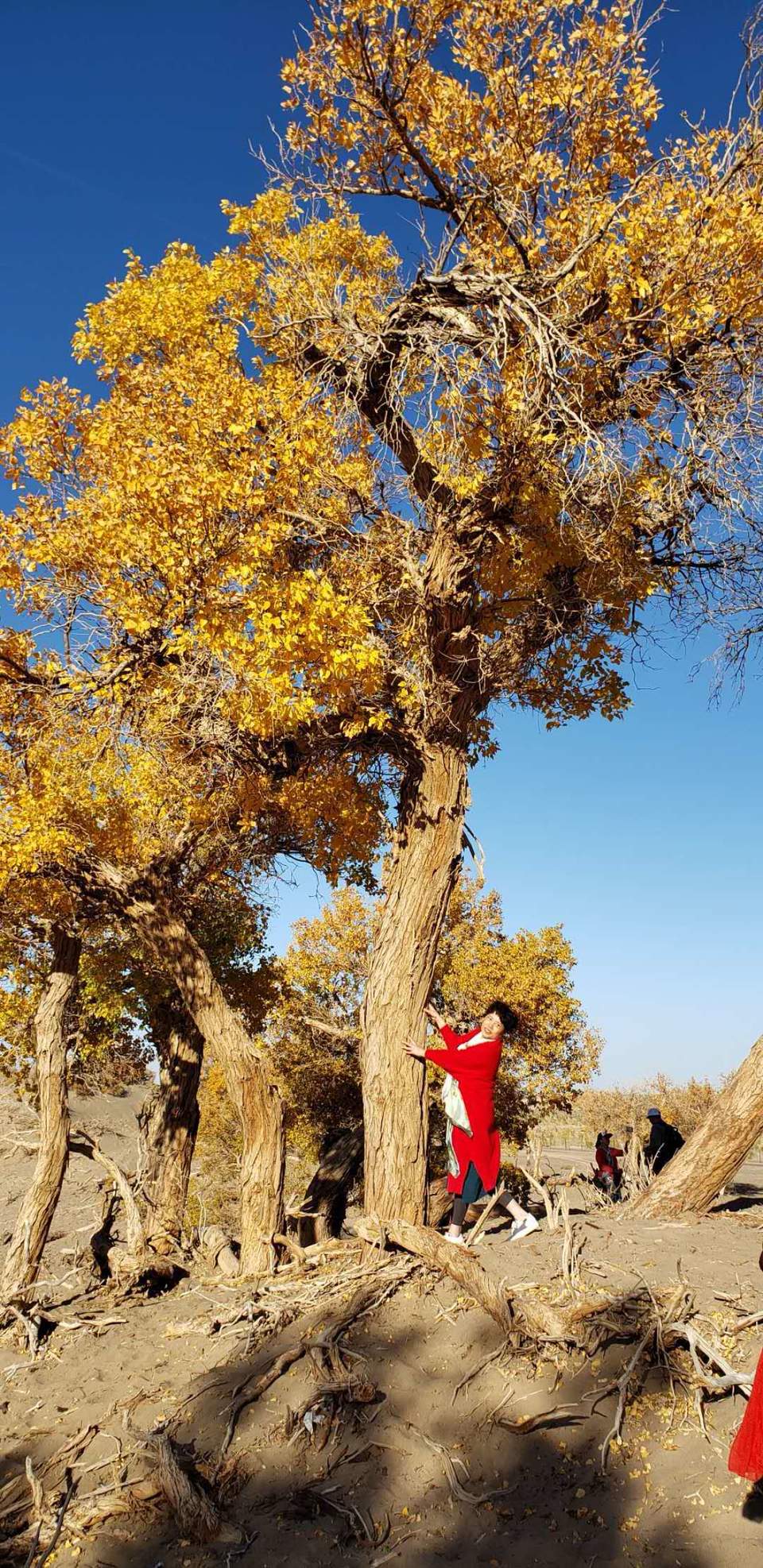 msiSkOcYLrp-6VAJ8vncJ3lnaQ1n-lKygCzN3u9DJSUNCHMavnD3MbOobSWoK-ps