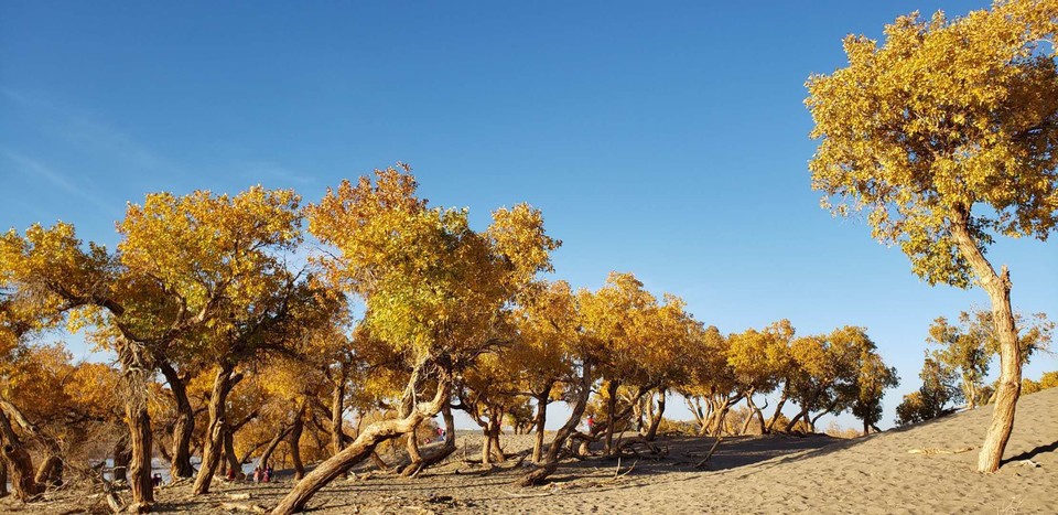 2akWGZyZ2AX1erlWPYFnem_4ka6qu8NbZynZIWnyWBjgkMTUlA8GhwFVgcjx6ZI7