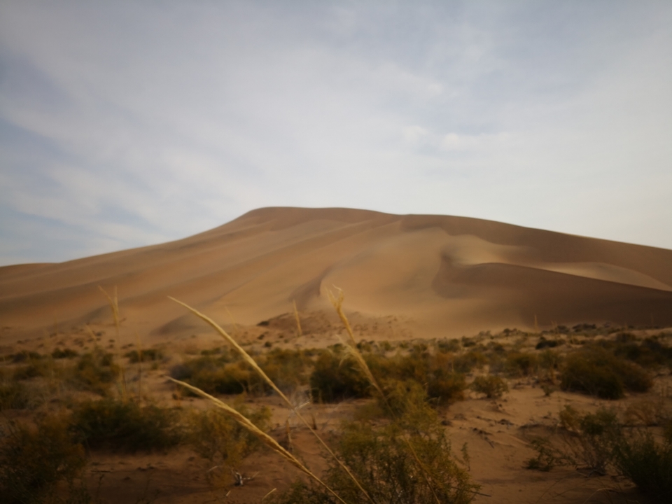 iA3jZF-VYlrfPPi-WqNXMVQMCNu_mjkx6_snZp4KeRDQ_Ldzx9QmZjtOjrtypPNT