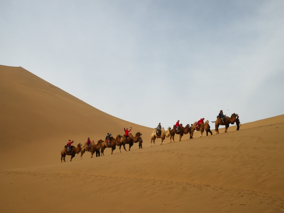 TD3oG4ugy-J-O-EzVMCwY-sUyxc7O-aj0skqt2nUVuST9PD_QjC6UlWT8HW0d1fa