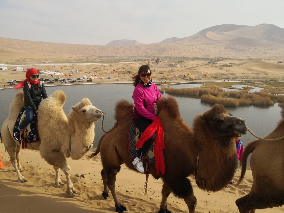 MwuT2qe8ZRKSCds3eEj8rWcfzU0t-5cTH86Bg4wK7GYGCoLXu3uFhTQLnQzeTc1o