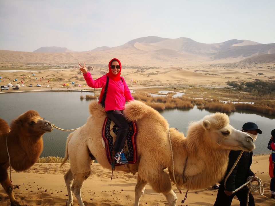 rxF_iY5Ws-Cab1JueXo6QAywDPxk84U8eD0sJVmr8ThQpsCU4NpxYQIeps_NTCEz