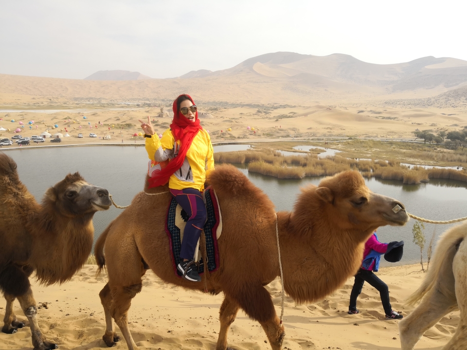 PoHF8xChosJ6l498EA9jdb5-JtzEl3GVPZIsetp35Q3_uLYXGF1CEIDUM7s0xn-Y