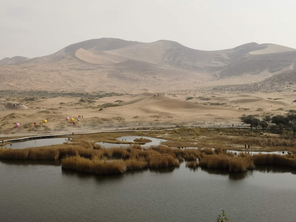 F-cmppHQH6yKY00N0k56qf3i0ug9PM4YxZQG0zGAJ_D-PB31kSwjVOuccOPg3nyl