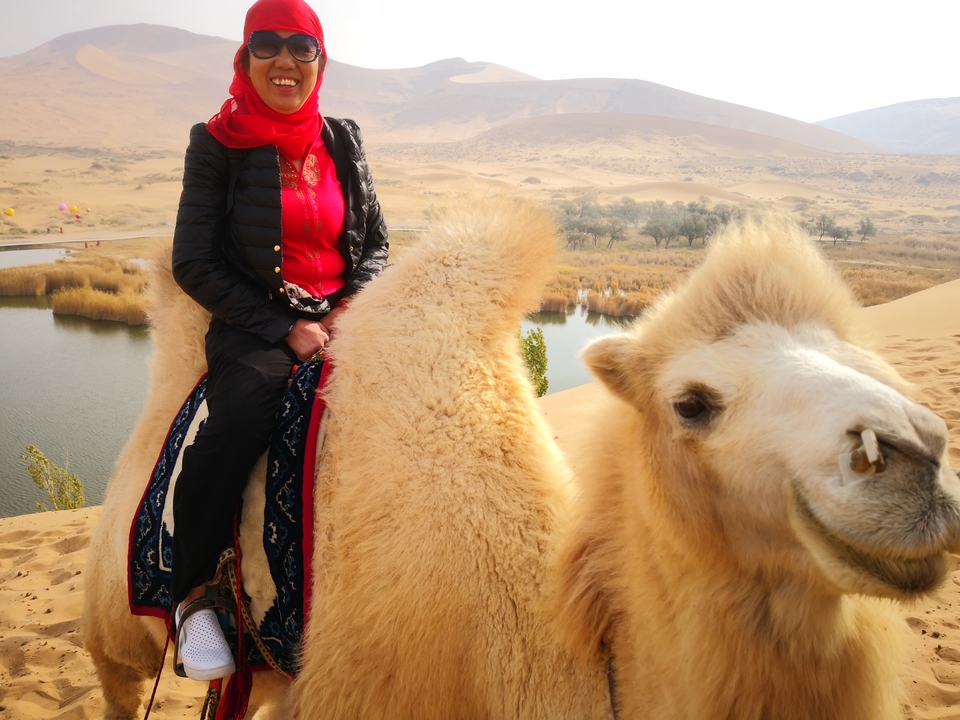 DEry41xeE48vBHlBaAVwSaxSW08ngVUN51JG28no48TlzZZbinSmJ8p8ArJirmTt