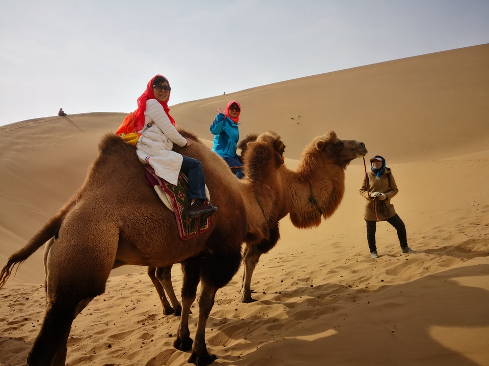 P-mWz56d-Oa6a0T4_wlaEXeLPwKZi8e6IegY4n8Y0eMJvKopMXCMaxjg2lecCnVX