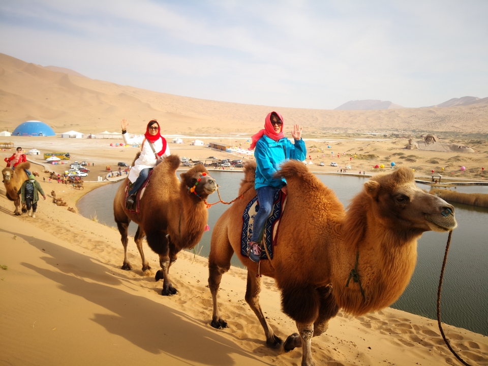 n4gSs889dxxca5Ivr5W0F6GH1oK2-buuwZSf_5ELxgxqd4pf915VZ-nT231udwIN