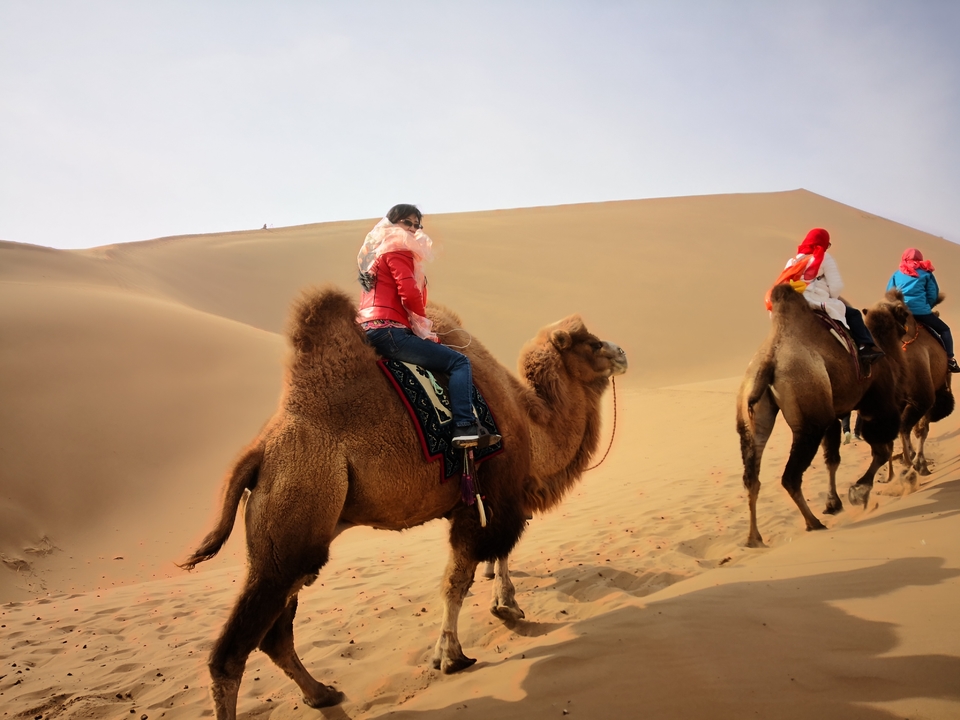 Jc1CIC51vWQ7wJaPlbG84OxdSe1zJu41O9r2cNx_JMDxGMzi7fiPl_x6In3RAhVl