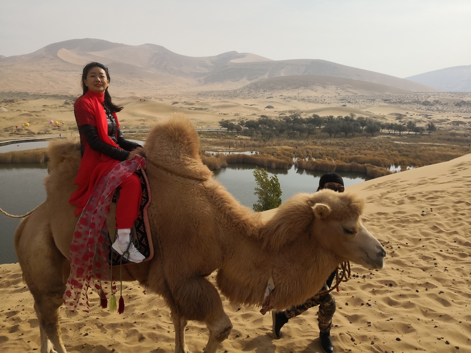 CYTLPrgmn0WoAwMXiXWnED_740favoDJH8_PKx54T9N5XQz5SbhcSXR2GqHYWYGP