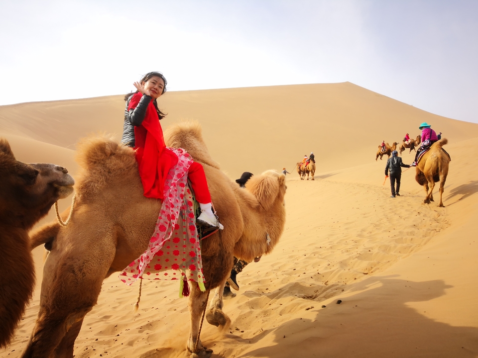 BNXCG1MoE0xXeZ1RtI9F_lgWaQy-DfSagZIRitb641C8ca8FyVJJgilt3T79BWmt