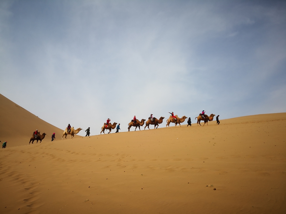 CjI1fXlv6iXdEWqAxzkLiwf7nM9xMNyFC6ldpAYkGhNdW6yNLdfx7hbbs0lRlE8l