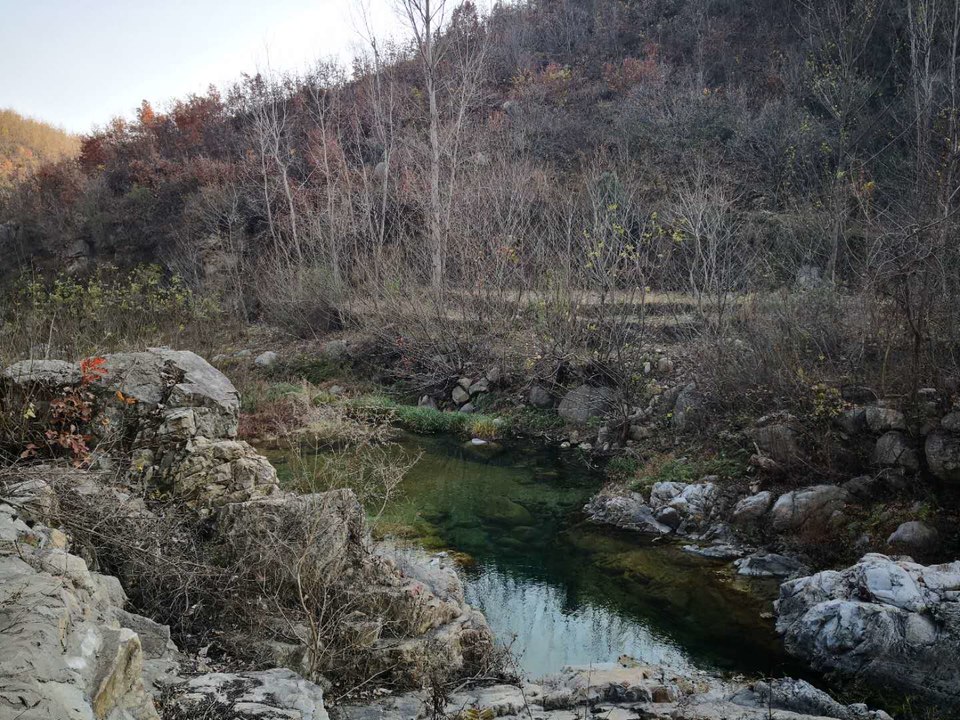 oAFoVFG97NDA7zYDfDOrasRT3wcty1_6iNQTU09yW34w0Ybe93z45Mpj2X-dCfI8