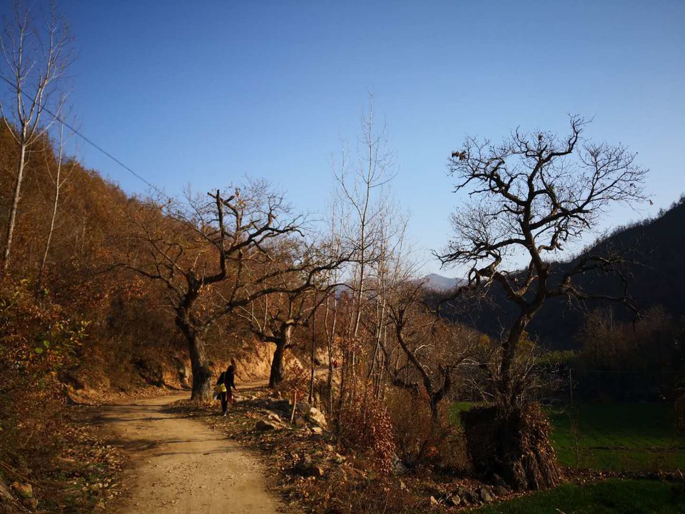 QKeLWgqkYG-OI7wBc8MY36yWyiTaX4TCOddnUERZU2mX0Vm7x8htJtaNaTOhSxDN