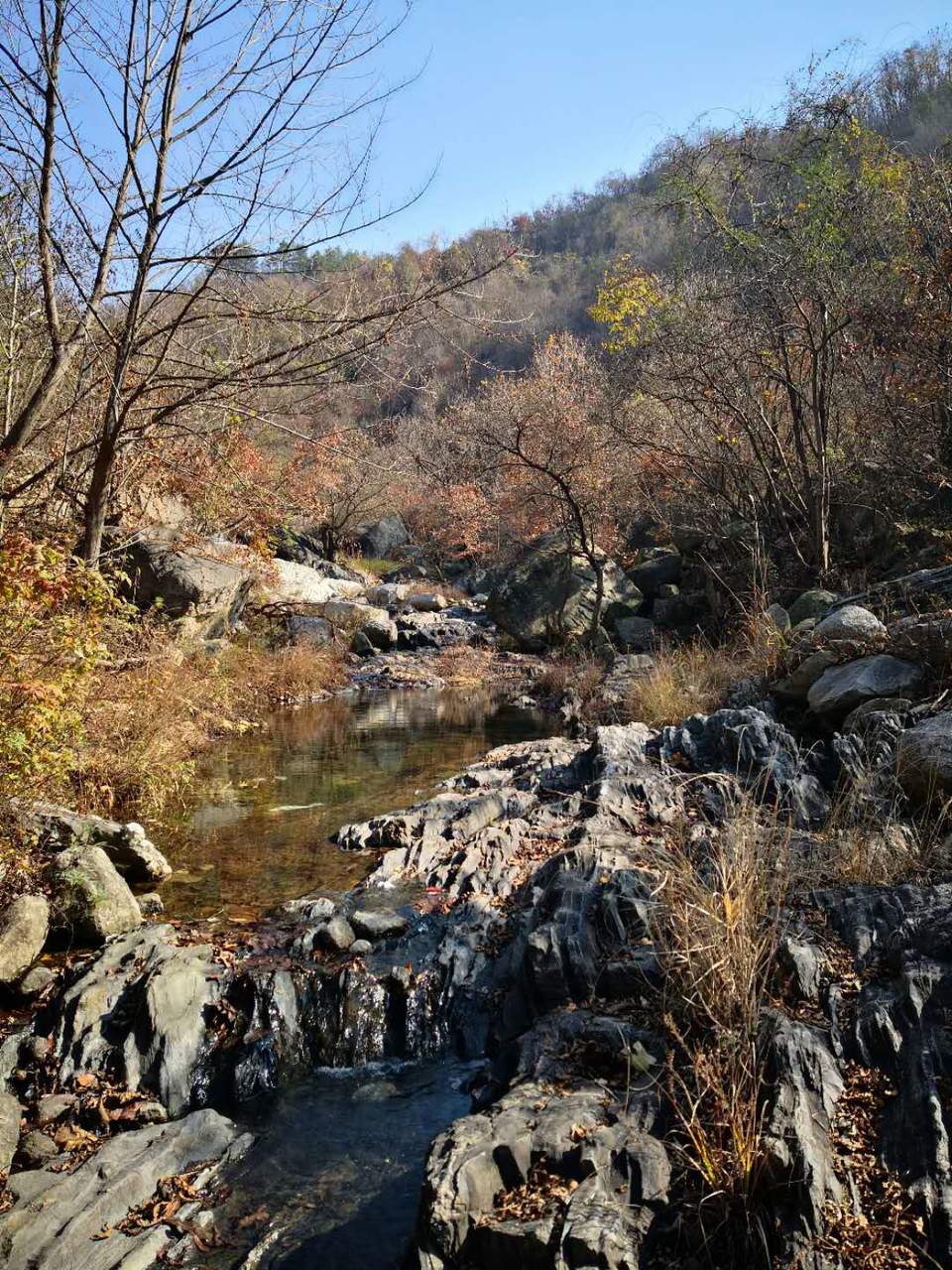 AfNcG6YQvnfRNEAmfv0WOyBpPFWkIuqOY3QMr-HQS1sazmv87xNGKC-cLRm5qP27